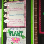 Student Learning Wall Guide Examples 8