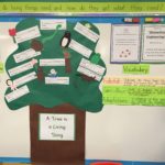 Student Learning Wall Guide Examples 9